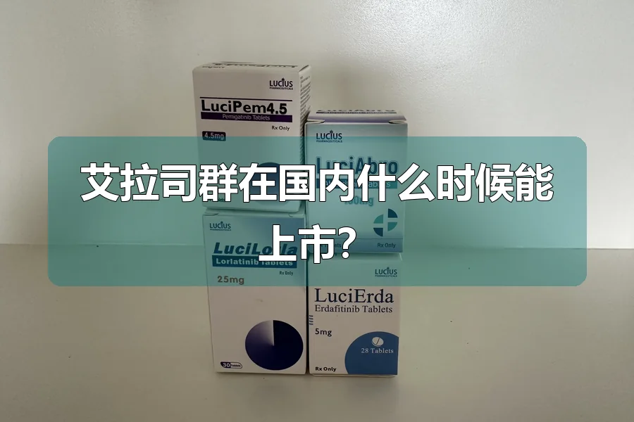 艾拉司群在国内什么时候能上市？